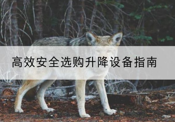 巴南区升降货梯厂家推荐-*安全选购升降设备指南