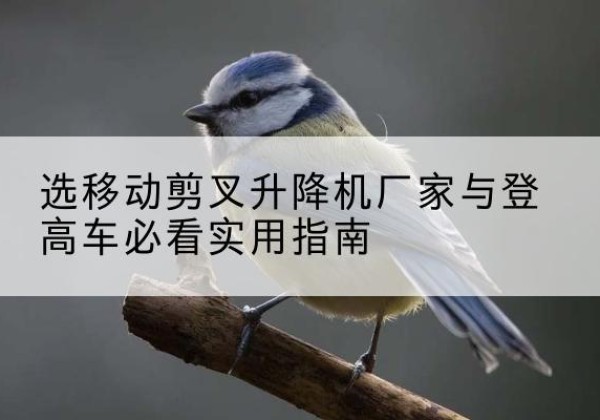 巴南区电动升降机厂家-选移动剪叉升降机厂家与登高车必看实用指南